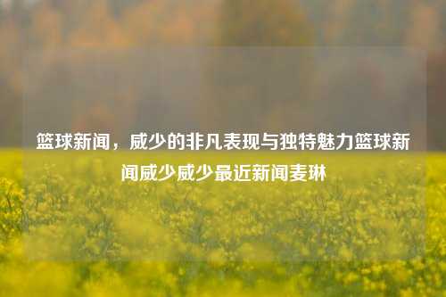 篮球新闻，威少的非凡表现与独特魅力篮球新闻威少威少最近新闻麦琳