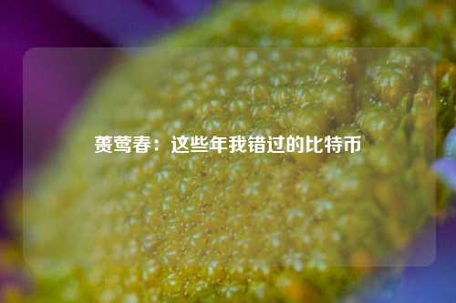 蒉莺春：这些年我错过的比特币