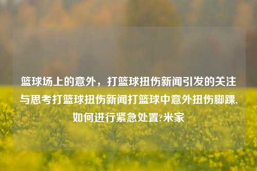 篮球场上的意外，打篮球扭伤新闻引发的关注与思考打篮球扭伤新闻打篮球中意外扭伤脚踝,如何进行紧急处置?米家