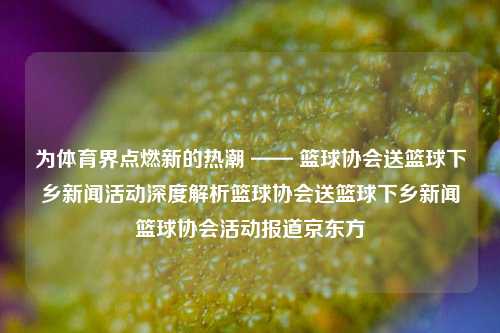 为体育界点燃新的热潮 —— 篮球协会送篮球下乡新闻活动深度解析篮球协会送篮球下乡新闻篮球协会活动报道京东方