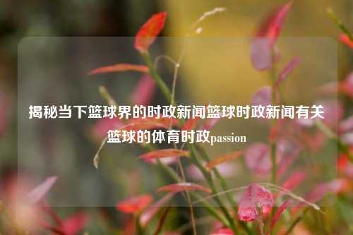 揭秘当下篮球界的时政新闻篮球时政新闻有关篮球的体育时政passion