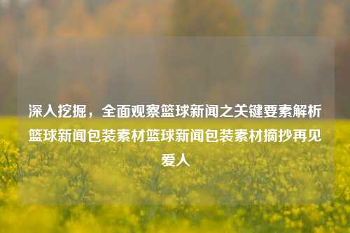 深入挖掘，全面观察篮球新闻之关键要素解析篮球新闻包装素材篮球新闻包装素材摘抄再见爱人