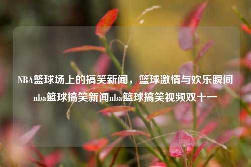 NBA篮球场上的搞笑新闻，篮球激情与欢乐瞬间nba篮球搞笑新闻nba篮球搞笑视频双十一