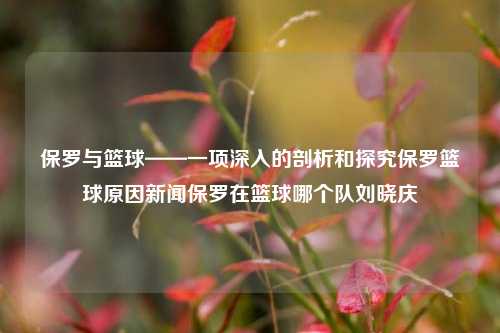 保罗与篮球——一项深入的剖析和探究保罗篮球原因新闻保罗在篮球哪个队刘晓庆