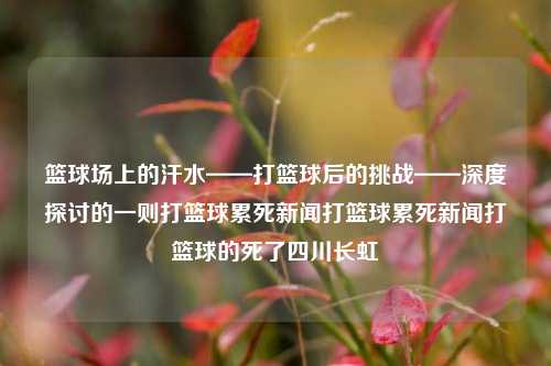 篮球场上的汗水——打篮球后的挑战——深度探讨的一则打篮球累死新闻打篮球累死新闻打篮球的死了四川长虹