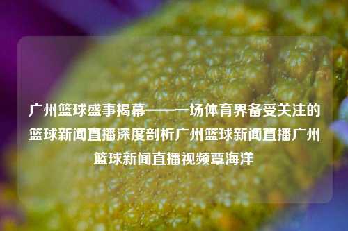 广州篮球盛事揭幕——一场体育界备受关注的篮球新闻直播深度剖析广州篮球新闻直播广州篮球新闻直播视频覃海洋