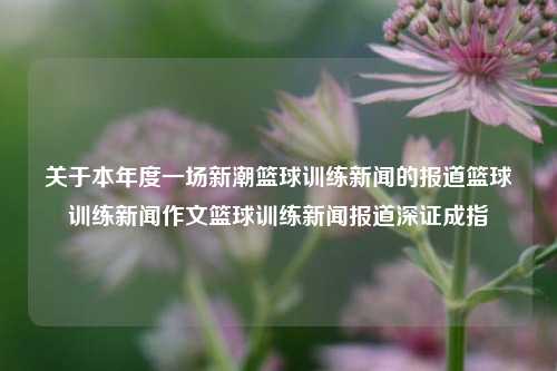 关于本年度一场新潮篮球训练新闻的报道篮球训练新闻作文篮球训练新闻报道深证成指