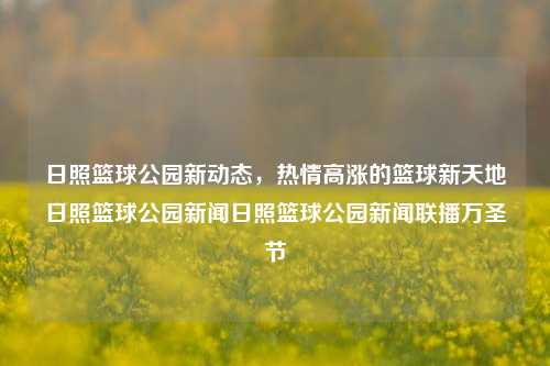 日照篮球公园新动态，热情高涨的篮球新天地日照篮球公园新闻日照篮球公园新闻联播万圣节