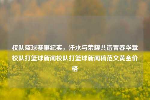 校队篮球赛事纪实，汗水与荣耀共谱青春华章校队打篮球新闻校队打篮球新闻稿范文黄金价格