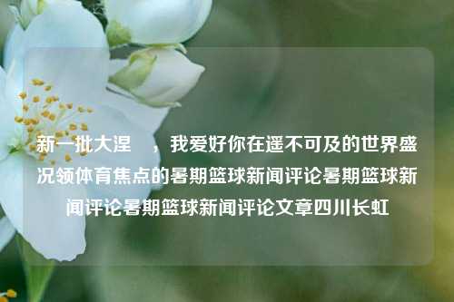 新一批大涅槃，我爱好你在遥不可及的世界盛况领体育焦点的暑期篮球新闻评论暑期篮球新闻评论暑期篮球新闻评论文章四川长虹