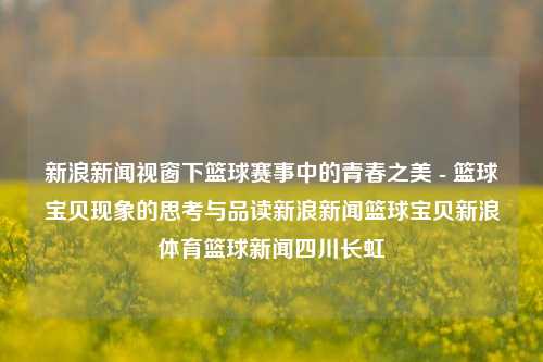 新浪新闻视窗下篮球赛事中的青春之美 - 篮球宝贝现象的思考与品读新浪新闻篮球宝贝新浪体育篮球新闻四川长虹