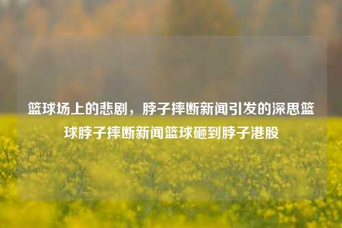 篮球场上的悲剧，脖子摔断新闻引发的深思篮球脖子摔断新闻篮球砸到脖子港股