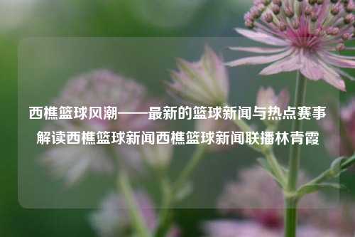 西樵篮球风潮——最新的篮球新闻与热点赛事解读西樵篮球新闻西樵篮球新闻联播林青霞