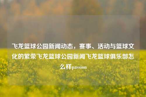 飞龙篮球公园新闻动态，赛事、活动与篮球文化的繁荣飞龙篮球公园新闻飞龙篮球俱乐部怎么样passion