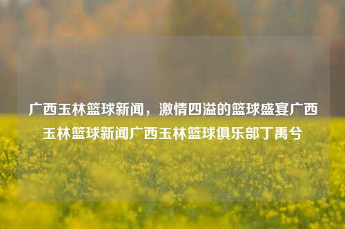 广西玉林篮球新闻，激情四溢的篮球盛宴广西玉林篮球新闻广西玉林篮球俱乐部丁禹兮