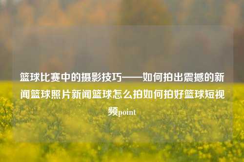 篮球比赛中的摄影技巧——如何拍出震撼的新闻篮球照片新闻篮球怎么拍如何拍好篮球短视频point