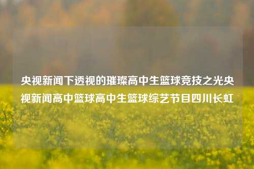 央视新闻下透视的璀璨高中生篮球竞技之光央视新闻高中篮球高中生篮球综艺节目四川长虹