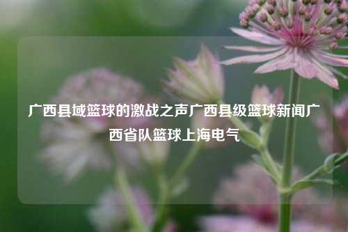 广西县域篮球的激战之声广西县级篮球新闻广西省队篮球上海电气