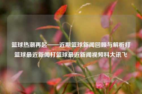 篮球热潮再起——近期篮球新闻回顾与解析打篮球最近新闻打篮球最近新闻视频科大讯飞