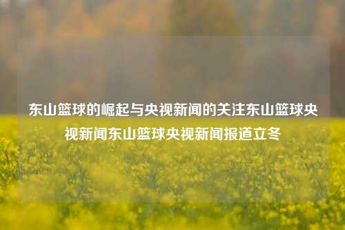 东山篮球的崛起与央视新闻的关注东山篮球央视新闻东山篮球央视新闻报道立冬