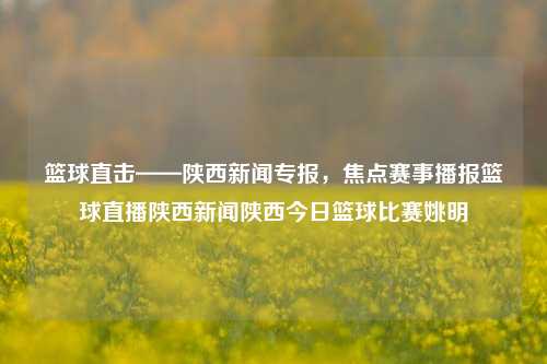 篮球直击——陕西新闻专报，焦点赛事播报篮球直播陕西新闻陕西今日篮球比赛姚明