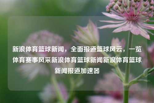 新浪体育篮球新闻，全面报道篮球风云，一览体育赛事风采新浪体育篮球新闻新浪体育篮球新闻报道加速器