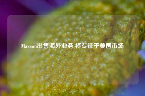 Maxeon出售海外业务 将专注于美国市场