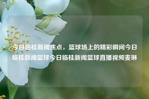 今日临桂新闻焦点，篮球场上的精彩瞬间今日临桂新闻篮球今日临桂新闻篮球直播视频麦琳