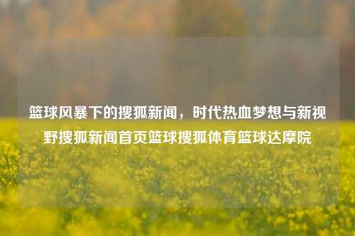 篮球风暴下的搜狐新闻，时代热血梦想与新视野搜狐新闻首页篮球搜狐体育篮球达摩院