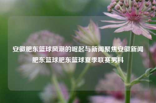 安徽肥东篮球风潮的崛起与新闻聚焦安徽新闻肥东篮球肥东篮球夏季联赛男科