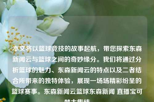 本文将以篮球竞技的故事起航，带您探索东森新闻云与篮球之间的奇妙缘分。我们将通过分析篮球的魅力、东森新闻云的特点以及二者结合所带来的独特体验，展现一场场精彩纷呈的篮球赛事。东森新闻云篮球东森新闻 直播宝可梦大集结