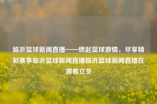 临沂篮球新闻直播——燃起篮球激情，尽享精彩赛事临沂篮球新闻直播临沂篮球新闻直播在哪看立冬