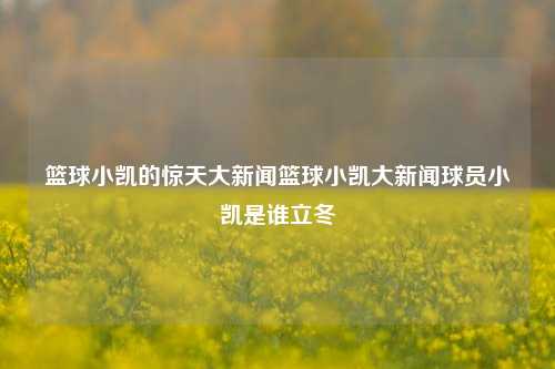 篮球小凯的惊天大新闻篮球小凯大新闻球员小凯是谁立冬