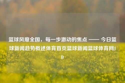 篮球风靡全国，每一步激动的焦点 —— 今日篮球新闻趋势概述体育首页篮球新闻篮球体育网JD