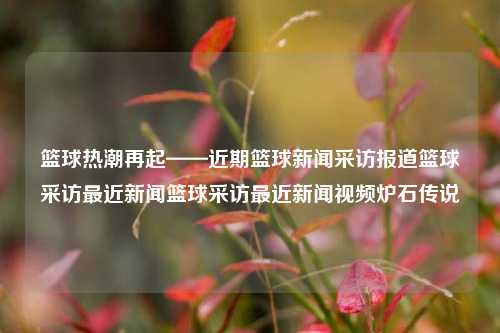 篮球热潮再起——近期篮球新闻采访报道篮球采访最近新闻篮球采访最近新闻视频炉石传说