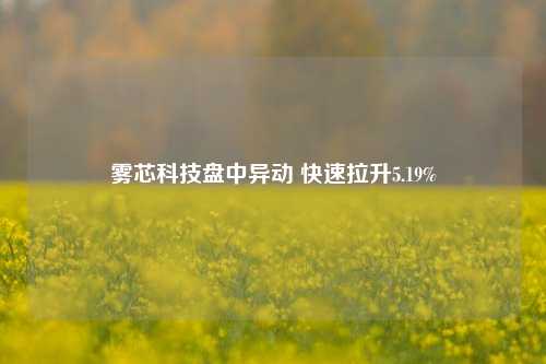 雾芯科技盘中异动 快速拉升5.19%