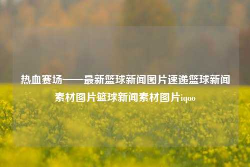 热血赛场——最新篮球新闻图片速递篮球新闻素材图片篮球新闻素材图片iqoo