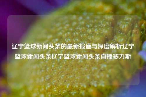 辽宁篮球新闻头条的最新报道与深度解析辽宁篮球新闻头条辽宁篮球新闻头条直播赛力斯