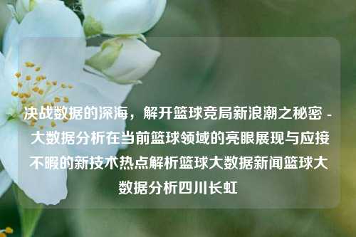 决战数据的深海，解开篮球竞局新浪潮之秘密 - 大数据分析在当前篮球领域的亮眼展现与应接不暇的新技术热点解析篮球大数据新闻篮球大数据分析四川长虹