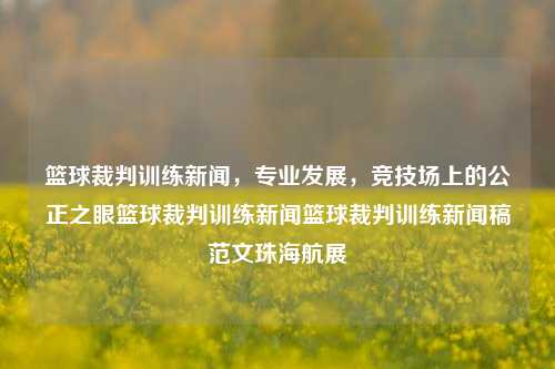 篮球裁判训练新闻，专业发展，竞技场上的公正之眼篮球裁判训练新闻篮球裁判训练新闻稿范文珠海航展