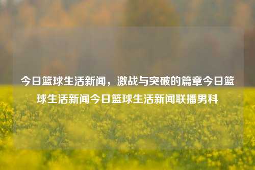 今日篮球生活新闻，激战与突破的篇章今日篮球生活新闻今日篮球生活新闻联播男科