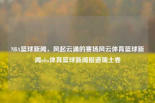 NBA篮球新闻，风起云涌的赛场风云体育篮球新闻nba体育篮球新闻报道瑞士卷