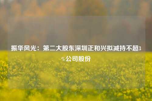 振华风光：第二大股东深圳正和兴拟减持不超3%公司股份