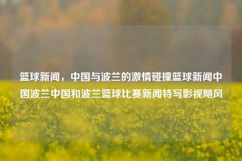 篮球新闻，中国与波兰的激情碰撞篮球新闻中国波兰中国和波兰篮球比赛新闻特写影视飓风