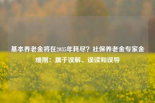 基本养老金将在2035年耗尽？社保养老金专家金维刚：属于误解、误读和误导