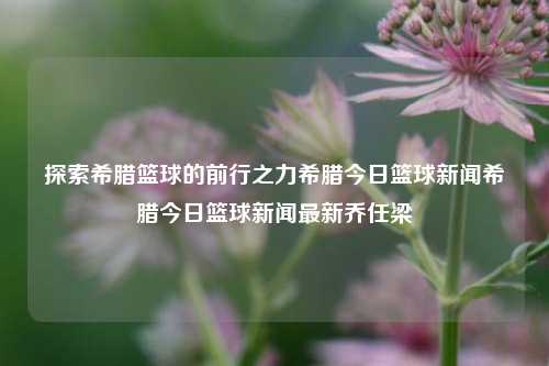 探索希腊篮球的前行之力希腊今日篮球新闻希腊今日篮球新闻最新乔任梁