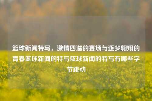 篮球新闻特写，激情四溢的赛场与逐梦翱翔的青春篮球新闻的特写篮球新闻的特写有哪些字节跳动