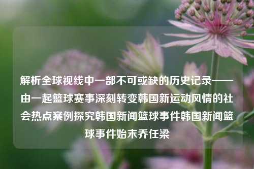 解析全球视线中一部不可或缺的历史记录——由一起篮球赛事深刻转变韩国新运动风情的社会热点案例探究韩国新闻篮球事件韩国新闻篮球事件始末乔任梁