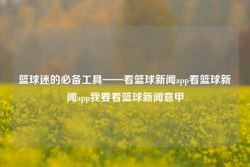 篮球迷的必备工具——看篮球新闻app看篮球新闻app我要看篮球新闻意甲