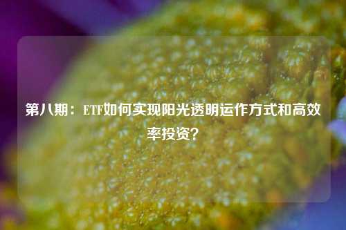 第八期：ETF如何实现阳光透明运作方式和高效率投资？